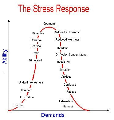 Demands v Ability
